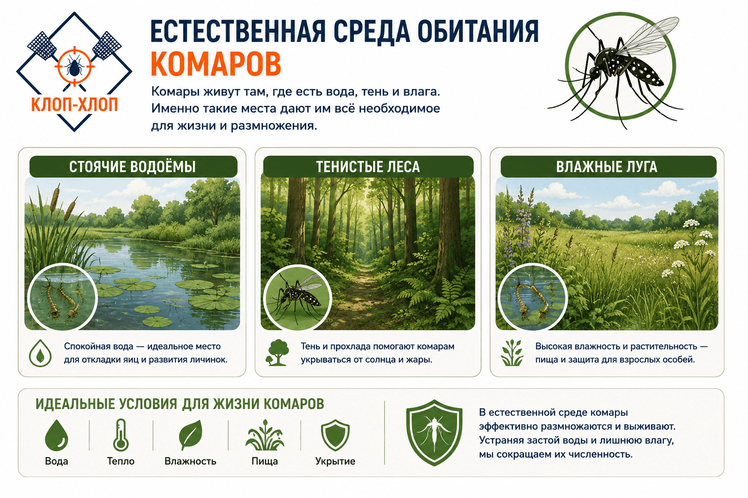 Городские биотопы &ndash; подвалы